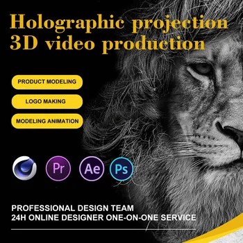 3d הולוגרפית לוואי קטעי וידאו מותאמים אישית דוגמנות וידאו