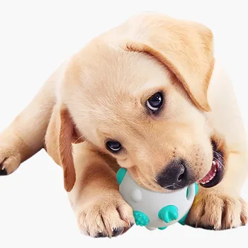 חיות מחמד כלב צעצוע כדור מוצק ביס עמיד לעיסת הכדור הקופץ הכלב גומי הדרכה אינטראקטיבית משחק כדור עם כלבים Accessoires2023