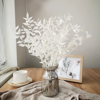 נצח עשיר עלים ענף מיובש טבעי האמיתי נשמר פרחים לחתונה הסדר צמח Diy חומר הביתה עיצוב חדר חג המולד