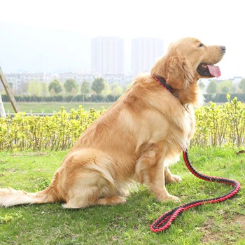 ניילון כלב לרתום את הרצועה לכלב בינוני, כלבים גדולים מחמד אימון ריצה הליכה בטיחות לטפס על ההר הכלב רצועות אביזרים לחיות מחמד