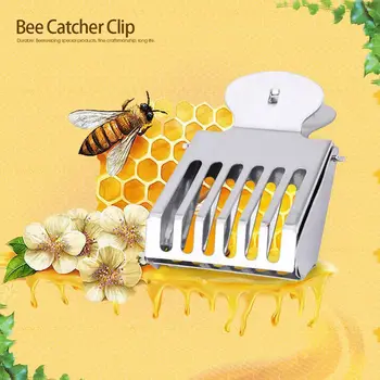 5PCS גידול דבורים נירוסטה המלכה בכלוב קליפ מלכת הדבורים תופס גידול דבורים אספקה