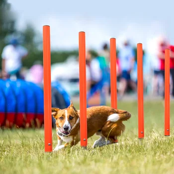 אילוף כלבים המוצר ציוד נייד כלבים קופצים כלי חיצוני כלבים רצים יתד ספורט ההימור עמוד מחמד זריזות ציוד