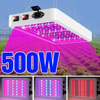 ספקטרום מלא הוביל צמיחה אור 220V מקורה חממה לטפח צמחים פרח זרע נורת LED קוונטית לוח LED פיטו המנורה האיחוד האירופי Plug