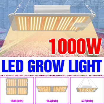LED Full Spectrum לוח אורות לגדול הידרופוניקה Phytolamp על צמחים פרחים זרעי חממה LED צמיחה מנורת 1000W 2000W 4000W