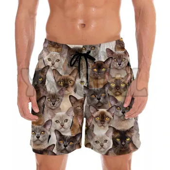 אתה מקבל הרבה בורמזי חתולים קצרים 3D בכל מודפס של גברים מכנסיים קצרים מהיר ייבוש קצרים חוף קיץ החוף בגד ים
